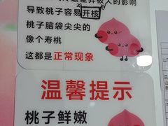 -老袁家蜜桃农场·阳山水蜜桃