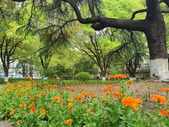 -上海大学(嘉定校区)