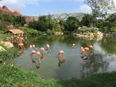 -芽庄珍珠岛游乐园
