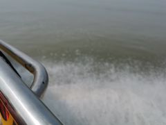 -巢湖姥山岛