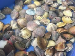 -山珍鲜牛肉火锅本地老字号(汕中老店)