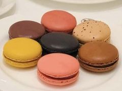 马卡龙-TWG Tea(台北101购物中心沙龙及精品门市)