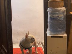 -老味道(田子坊店)