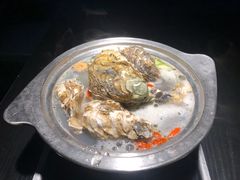 -欢乐牧场(T12店)
