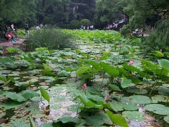 -人民公园-相亲角