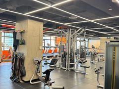 -健身专家Wellness Experts