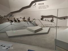 -武汉园博园(武汉自然博物馆)