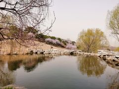 -北京西山国家森林公园