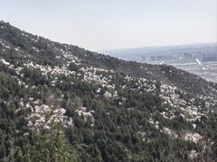 -北京十三陵国家森林公园蟒山景区