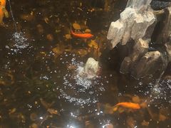 -香约老地方烧烤(九道街店)