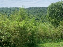 -兰亭风景区