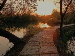 -西溪国家湿地公园