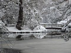 -北海道厅旧本厅舍(旧本庁舎)