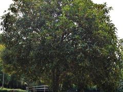 梦清园-苏州河梦清园环保主题公园