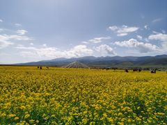 -青海湖国家重点风景名胜区