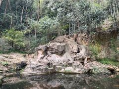 景点-虎跑公园