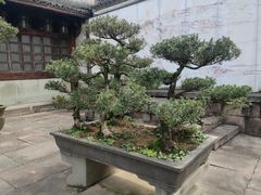 -天一阁博物院