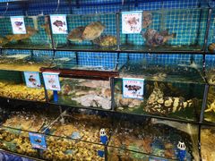 -范饭椰林川湘味海鲜·椰子鸡(三亚湾椰梦长廊店)