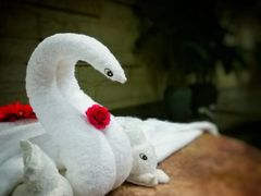 -天目湖涵田半山温泉