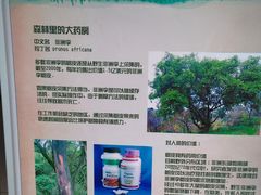-石家庄市植物园
