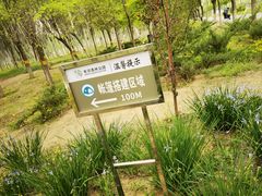 -东郊湿地公园