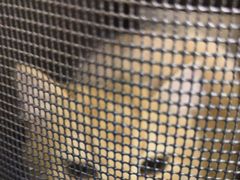 -美联众合动物医院·24h转诊中心