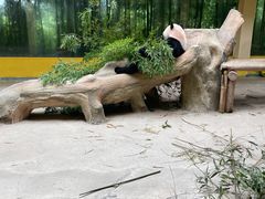 -杭州野生动物世界