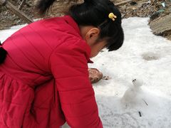 -白水寺森林公园