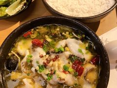 酸菜鱼-72街红烧排骨饭(海珠丽影广场店)