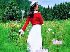 -武陵山森林公园