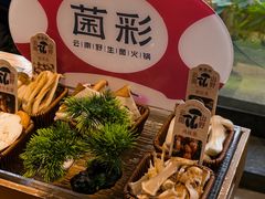 -菌彩云南野生菌火锅(新亚洲店)