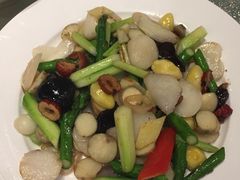 -新兴·金羊座·粤菜点心(乐峰店)