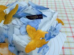-小苍兰风铃草蛋糕甜品(沈阳店)
