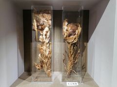 -北京中医药大学-中医药博物馆