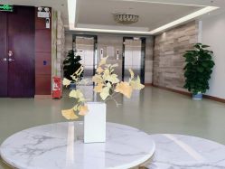 -维倪月子会所(独栋庭院·南海店)