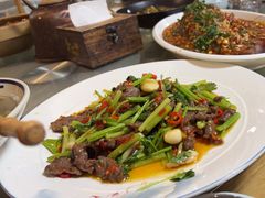 -青城甲(青城山店)