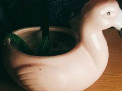 -阿卡贝拉音乐汇(印象城店)