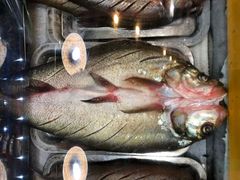 -老味道1992(武当山店)