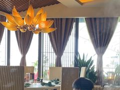 -润园四季椰子鸡火锅(海上世界店)