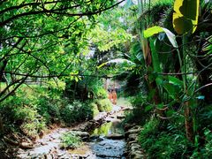 -阳台山森林公园