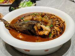 -何适山庄 ·可团建(水长城P2停车场店)