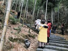 -梅岭月亮湾山体公园