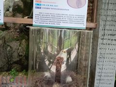 -青青世界