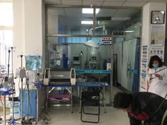 -邢大夫动物医院