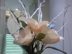 -佳妍惠美科技美肤美体中心