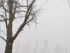 -大雁塔北广场音乐喷泉