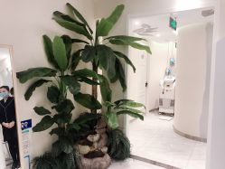 -健身堂科技美肌SPA