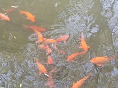 -浙江省博物馆(孤山馆区)