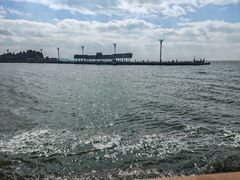 -呈贡滇池生态湿地公园