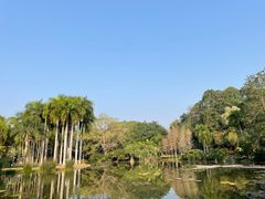 -中国科学院西双版纳热带植物园